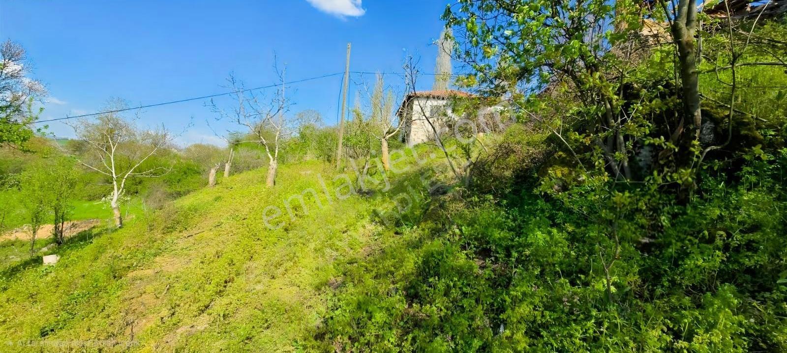 1.512 M2 Bahçeli Müstakil Tapulu Bahçe Ve Ev - Görsel 2