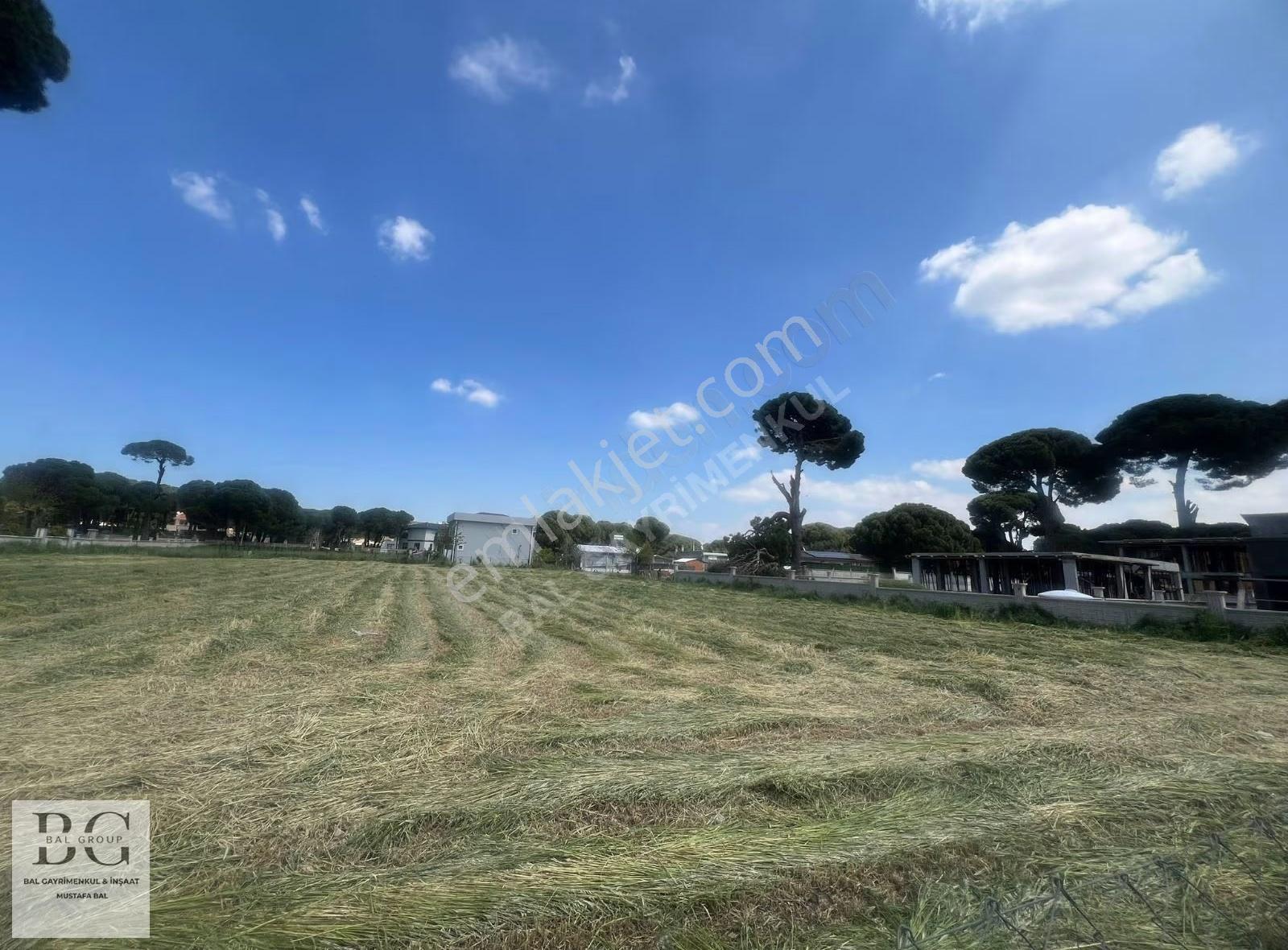 İzmir Menderes 300,500m2 Satılık Bahçeler - Görsel 6