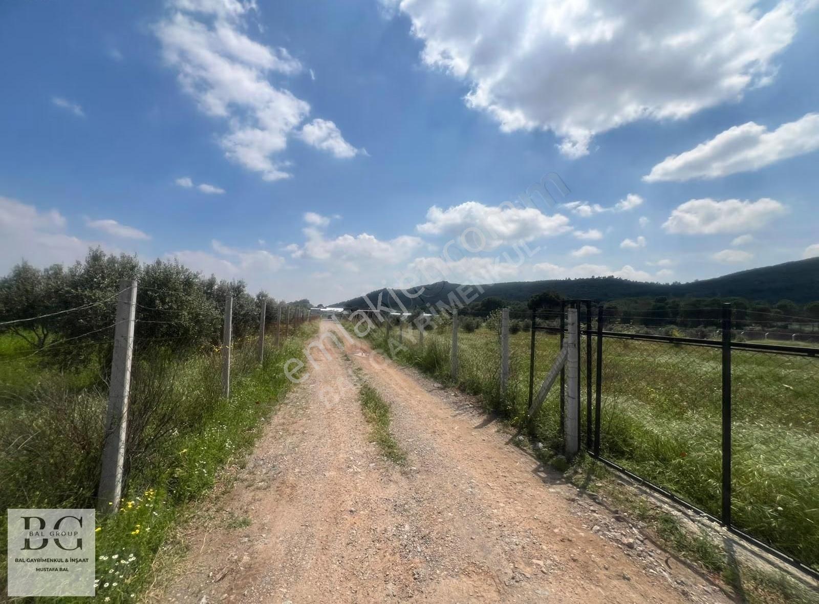 İzmir Menderes 300,500m2 Satılık Bahçeler - Görsel 11