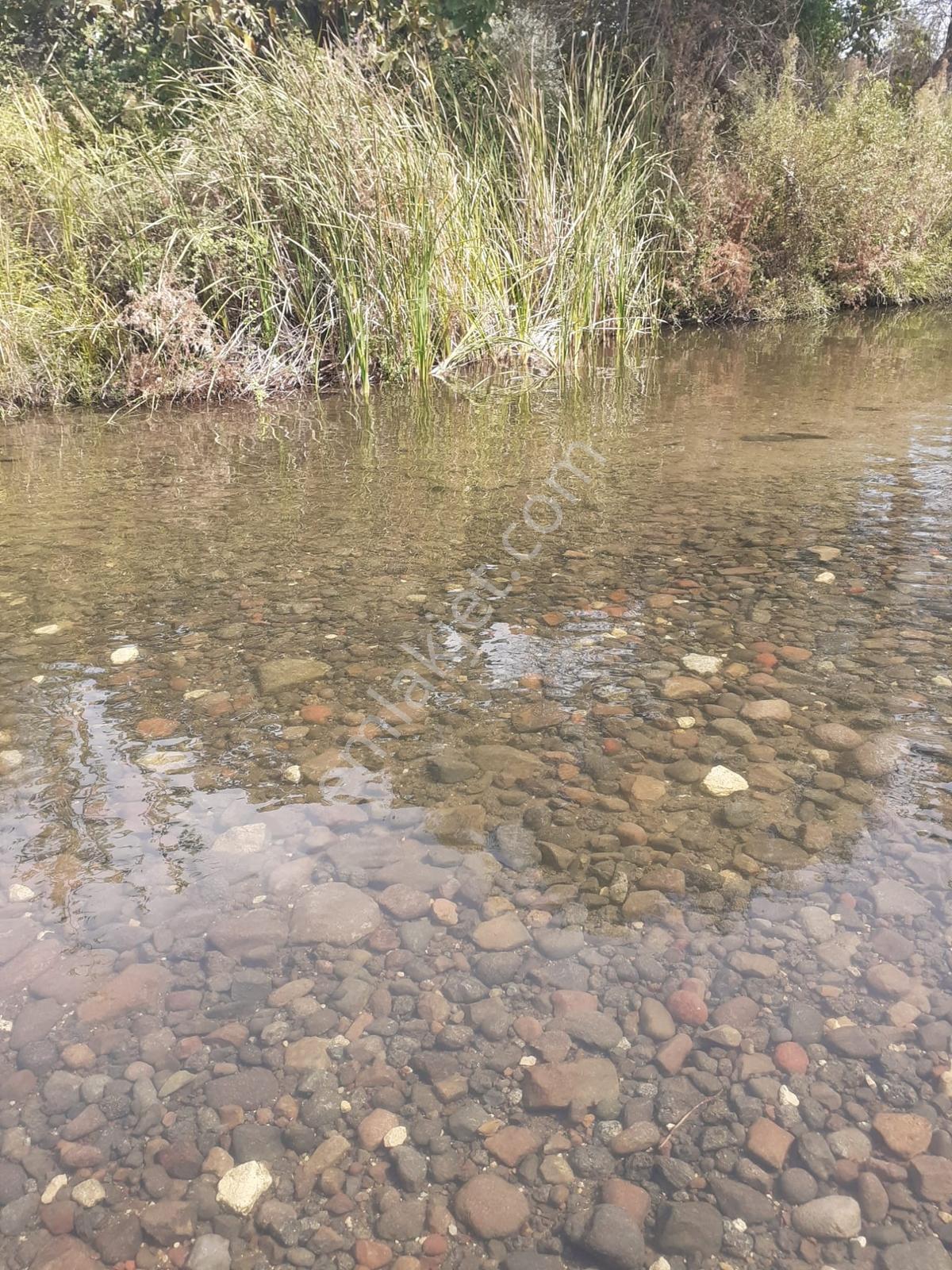 G.hisar Nehrineveyola Cepheli Meyve Ağaçlı Tarla-2522m2-takaslı- - Görsel 4