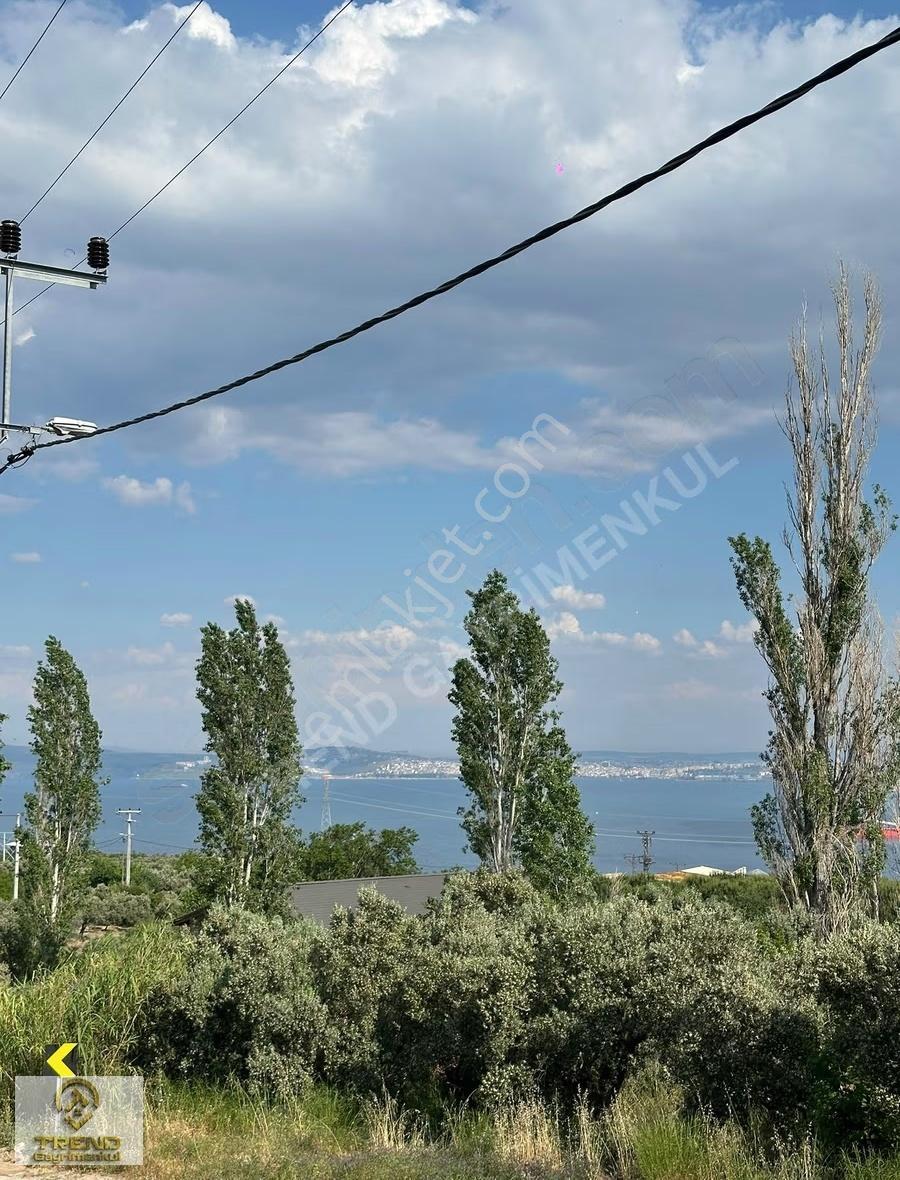 Trend'den Erdek Hamamlı'da Köy İçi Fırsat Arsa - Görsel 9