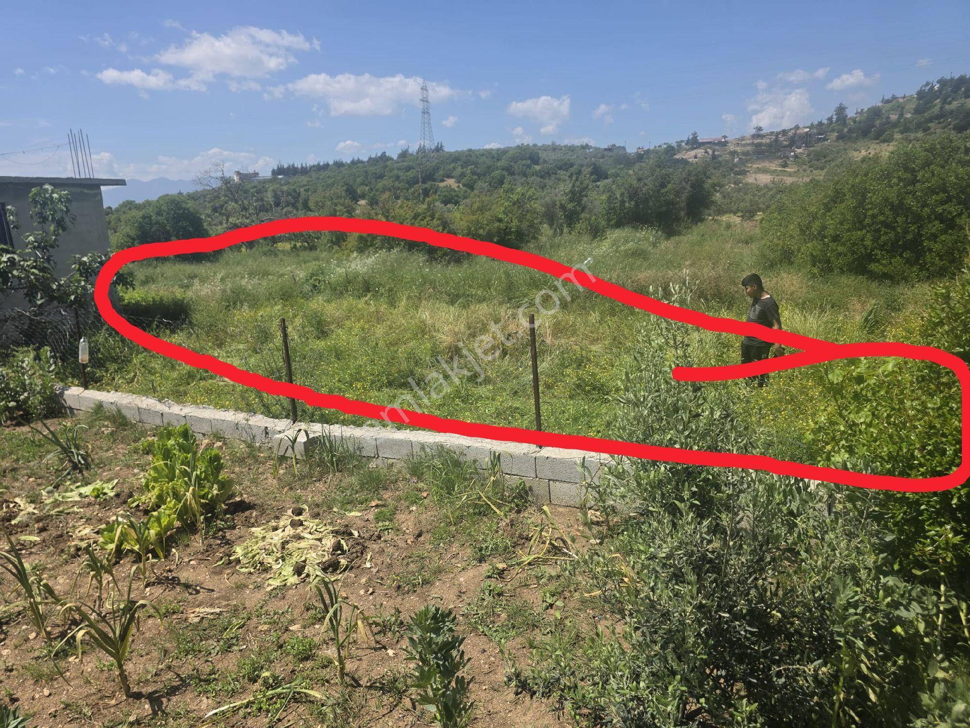 Bozlu Köyünde Küçük Hobi Bahçesi Olabilir 80m2 Tek Tapu