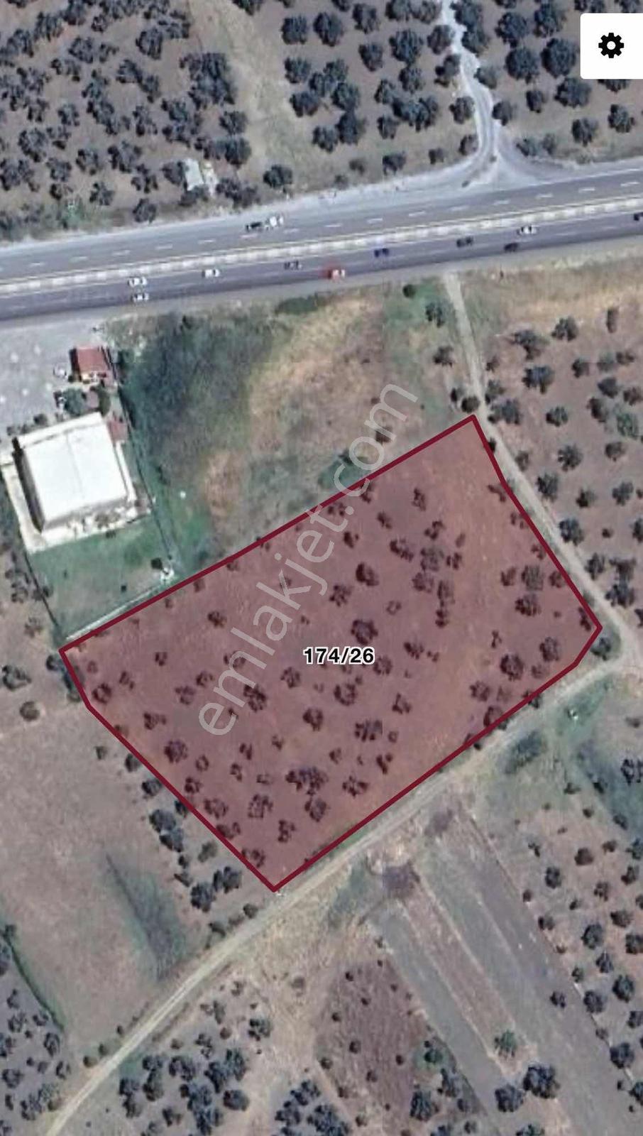 Fırsat Fiyat Ana Yola Cepheli 10 Dönüm Satılık Zeytinlik - Görsel 5