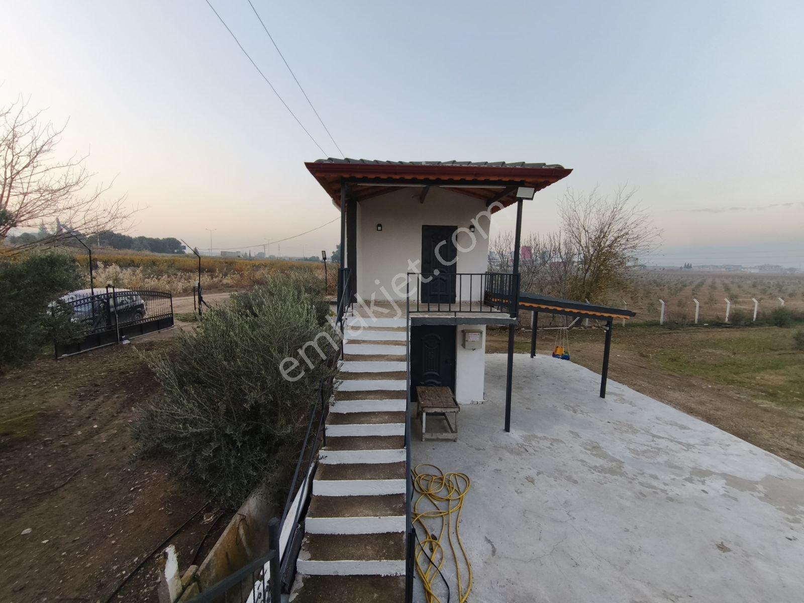 Yunus'tan Merkeze Yakın Yatırımlık Arazi - Görsel 2