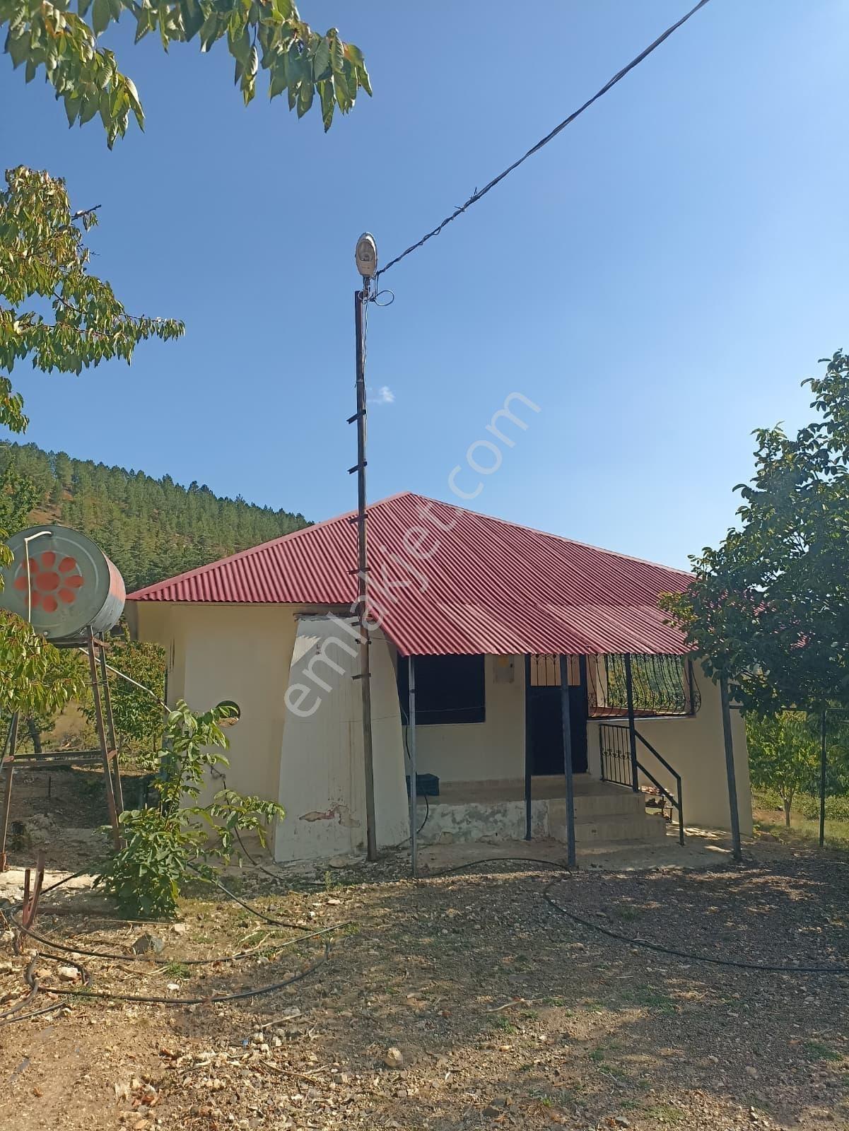 [ata]'dan Karakız Göleti(yaylası)'nda 4.175 M2 Satılık Bahçe+ev - Görsel 9