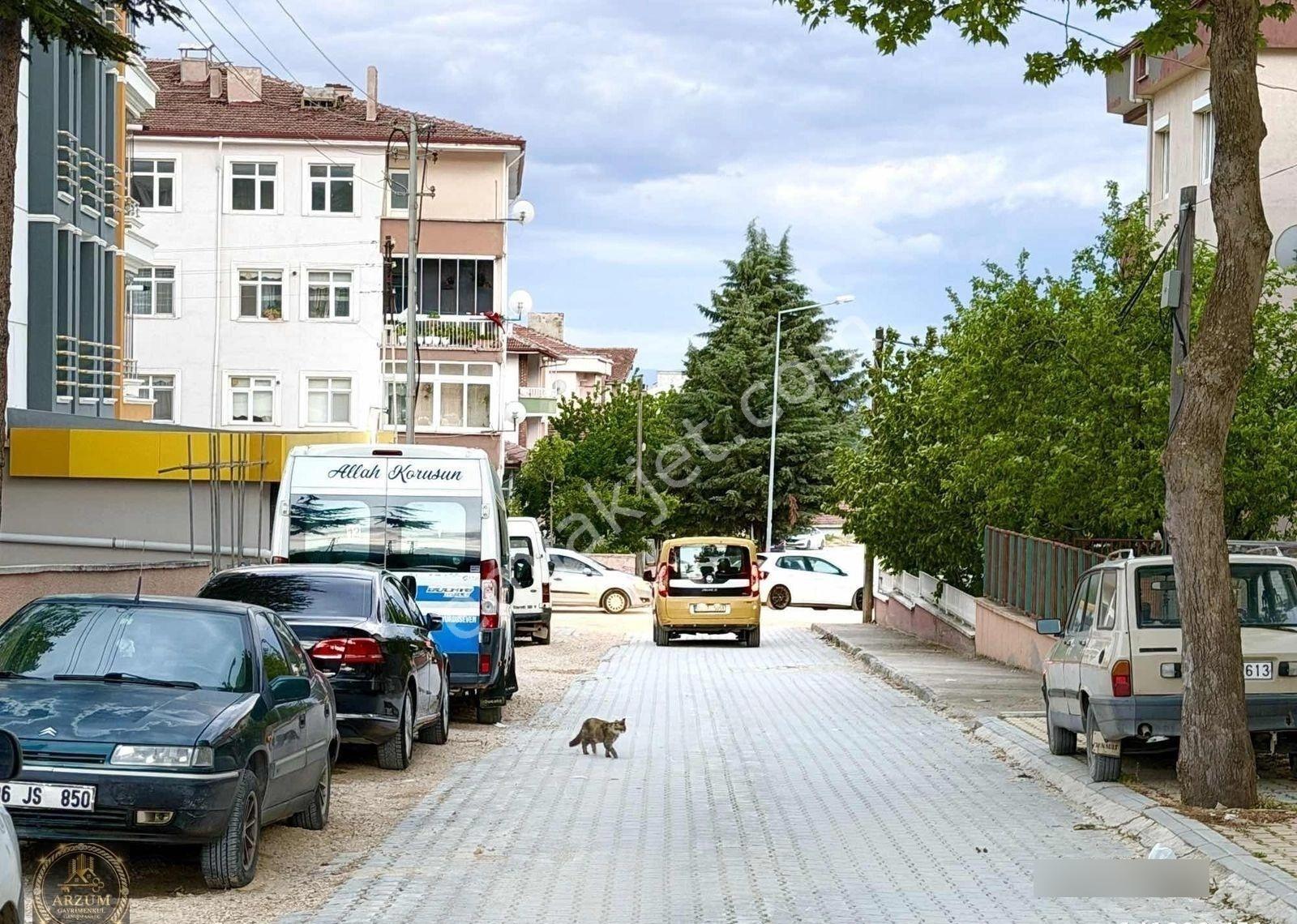 Merzifon Mahsen Mahallesinde 2+1 Ve 1+1 Eklentili Daire - Görsel 13