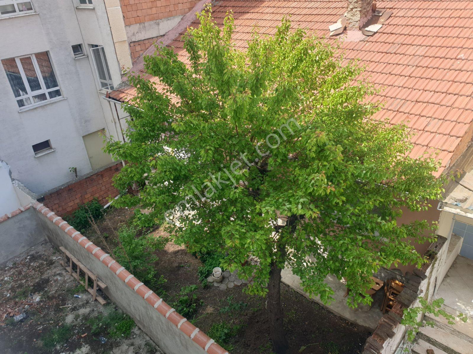 Anadolu Üni İçem Kapısı Ve Eczacılık Yakını Arakat 1+1 Kiralık - Görsel 7