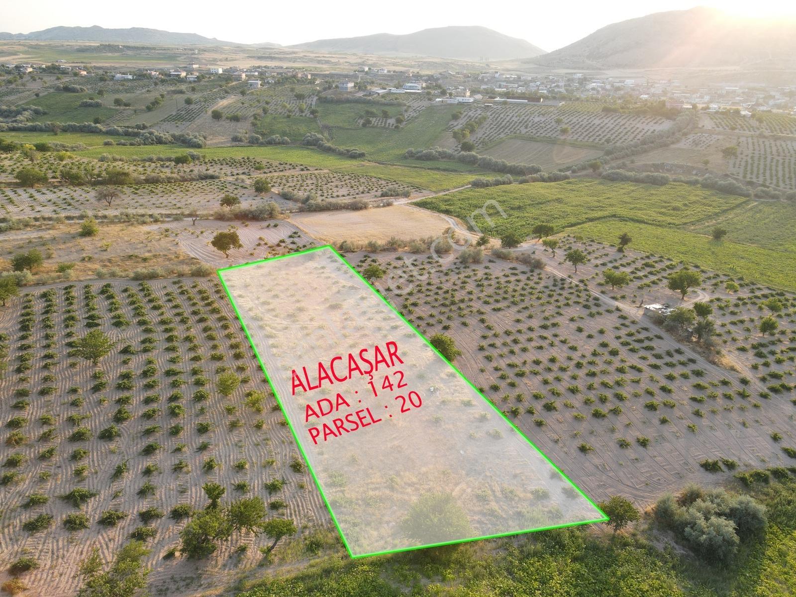 Şanlıbaba Emlak'tan Alacaşarda Satılık 3728 M² Bağ - Görsel 9