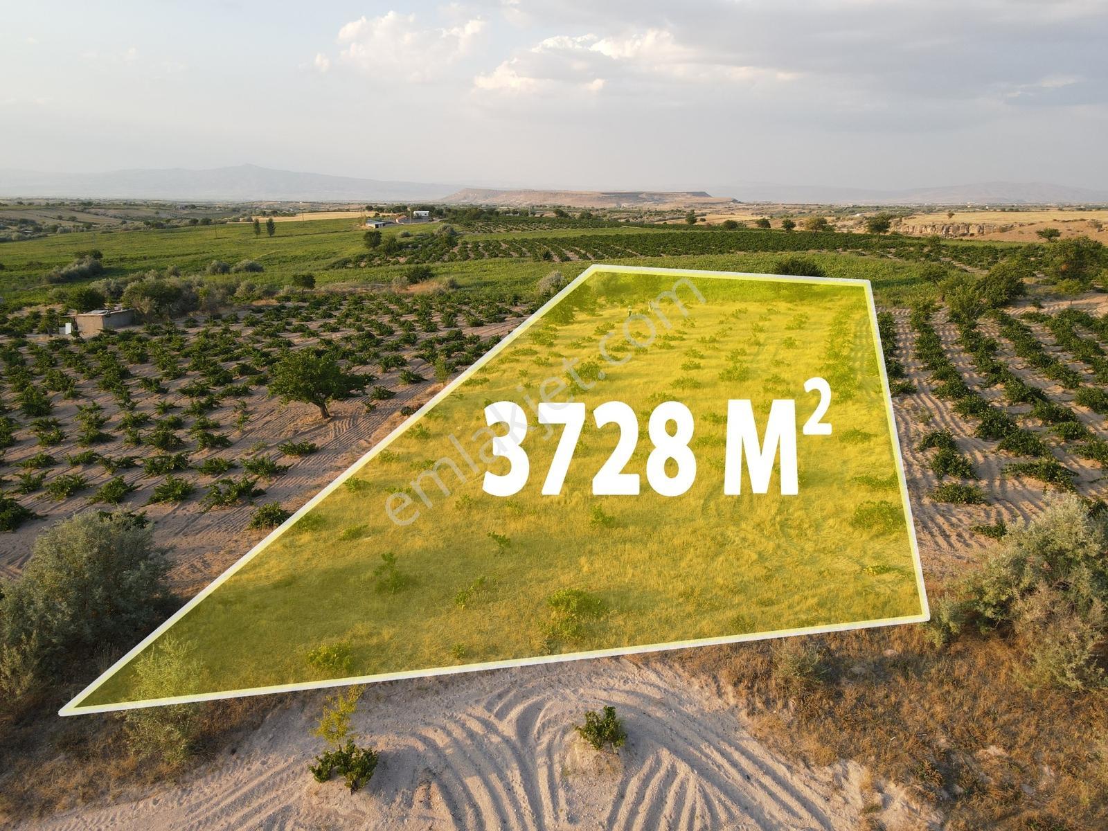 Şanlıbaba Emlak'tan Alacaşarda Satılık 3728 M² Bağ