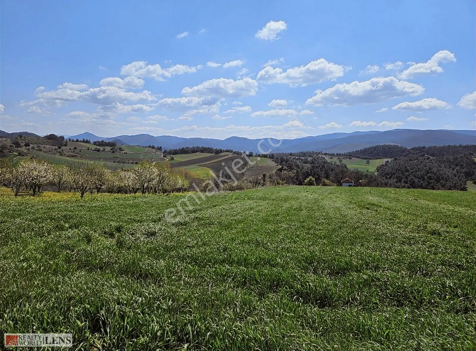 Sakarya Taraklıda Panoromik Manzaralı Fırsat Arazi!!