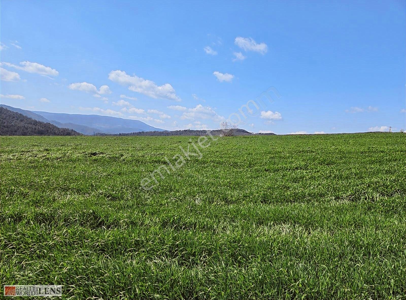 Sakarya Taraklıda Panoromik Manzaralı Fırsat Arazi!! - Görsel 2