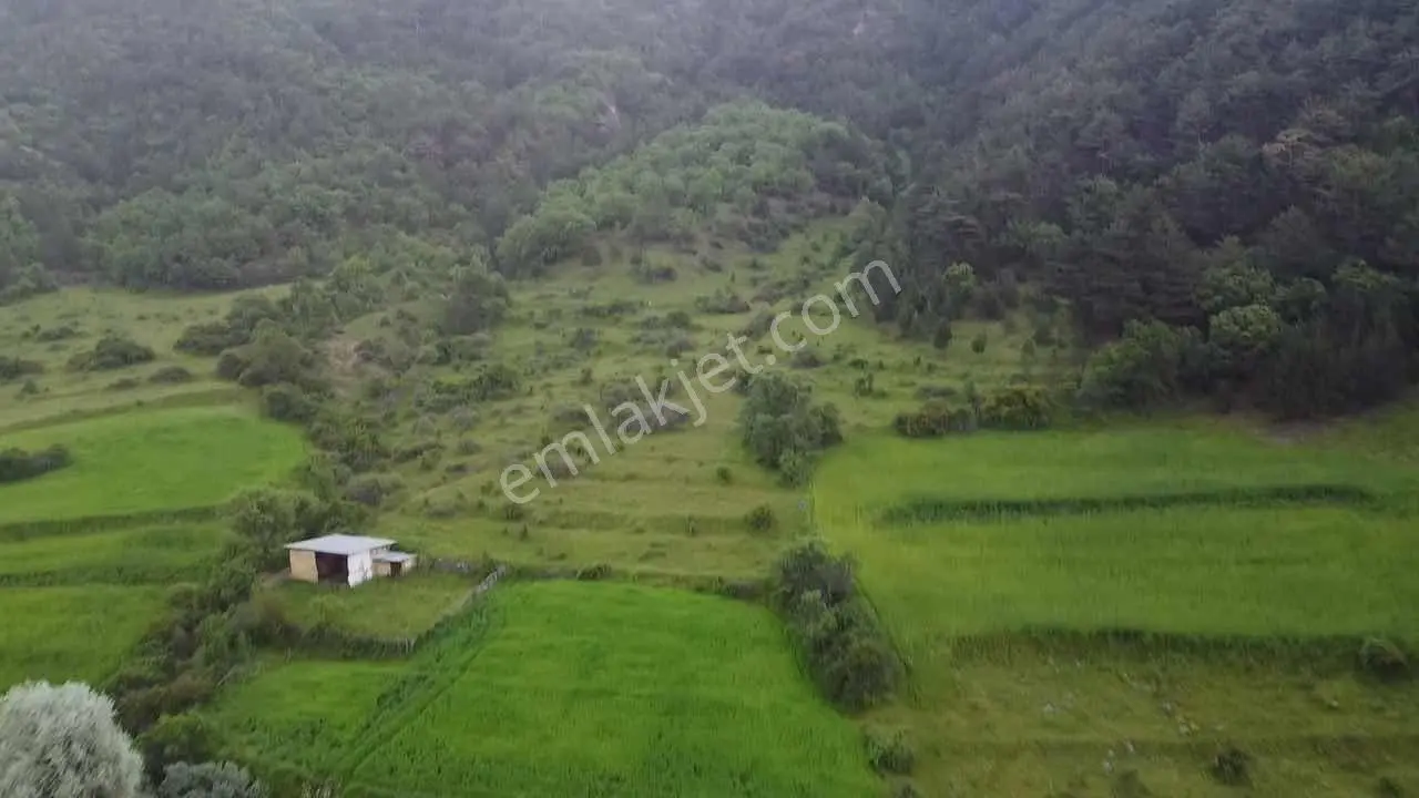 Tosya Gökçeözü Mah De 524 M2 Araç Takasına Uygun - Görsel 5
