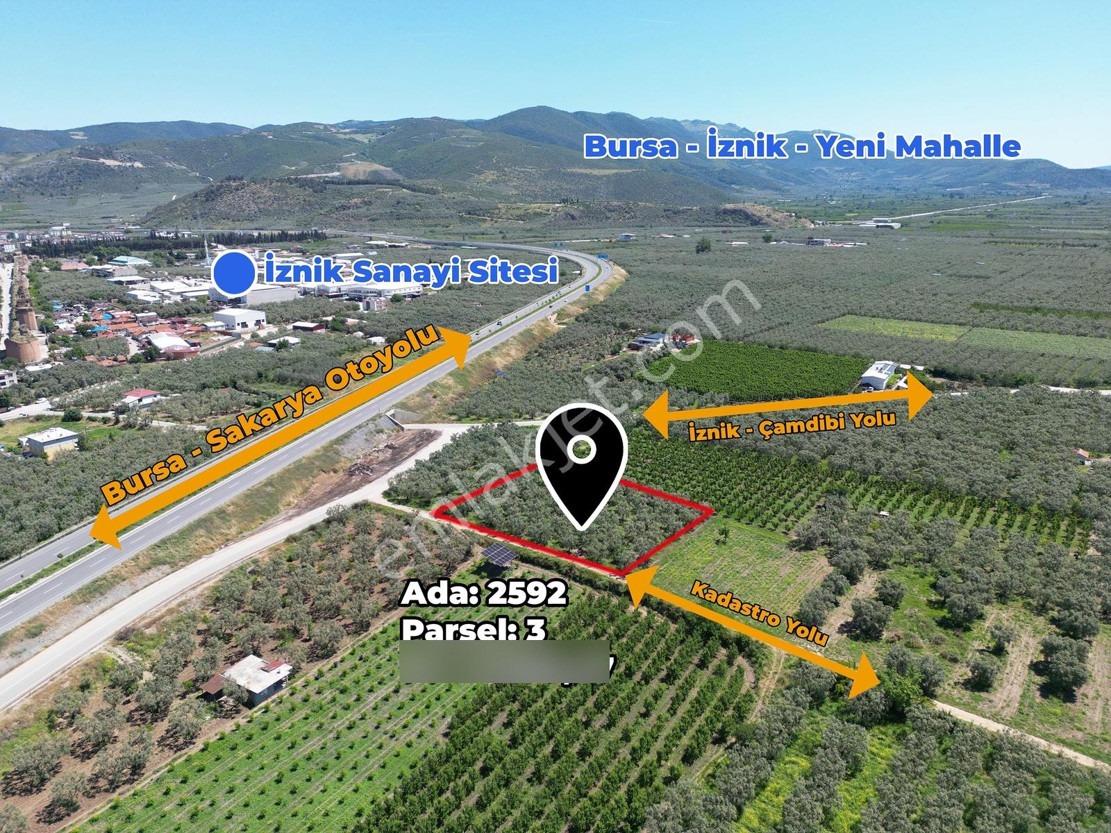 2m Yatırım'dan İznik Merkez Mahallede Fırsat Zeytinlik - Görsel 3