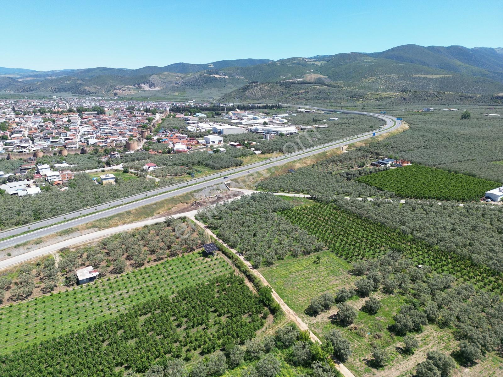 2m Yatırım'dan İznik Merkez Mahallede Fırsat Zeytinlik - Görsel 15