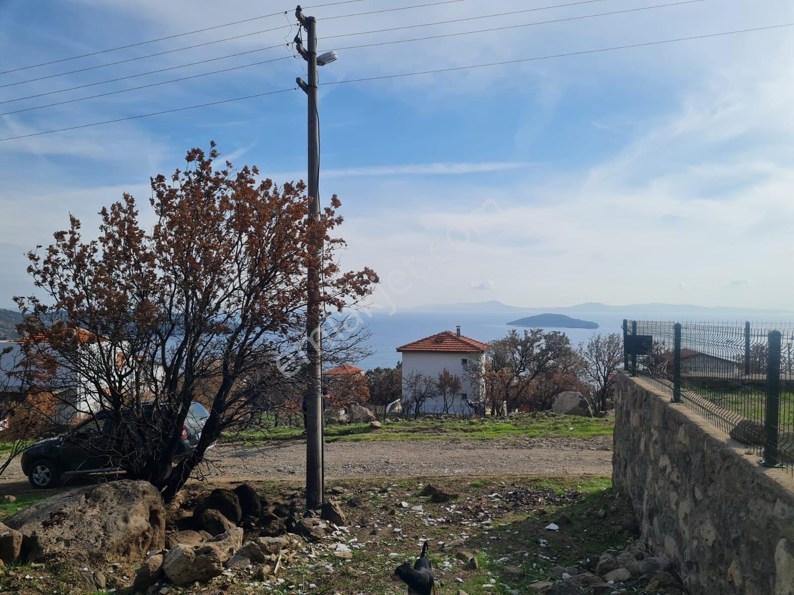 Borsem'den Çandarlı'da 350 M² Deniz Manzaralı Satılık Arsa