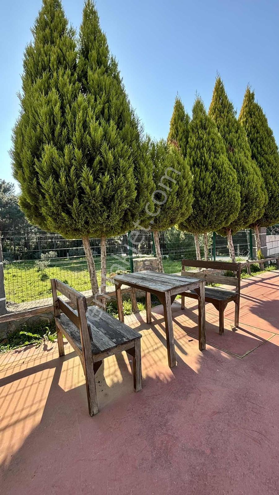 Bornova Çıçekliköy'de Kıralık 1 + 1 Daıre - Görsel 12