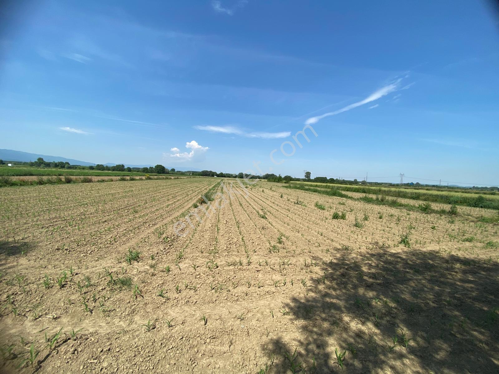 Uzunçınar'da Kmo Yakın Müstakil 6.165 M2 Yatırımlık Tarla - Görsel 15