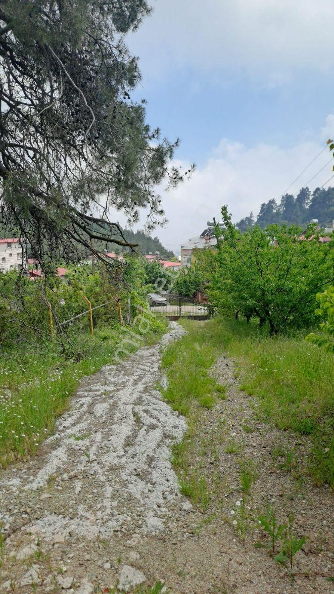 Kepirli Yaylasında 2+1 Kiralık Daire - Görsel 7