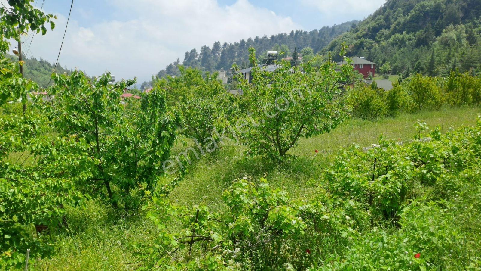 Kepirli Yaylasında 2+1 Kiralık Daire - Görsel 18