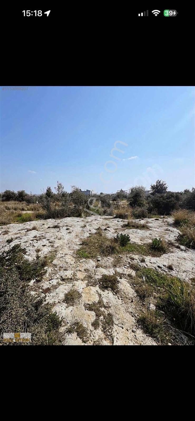 Aziz Emlak'tan Arpac'ta Satılık 674 Metre Mersin Manzaralı Arsa - Görsel 2