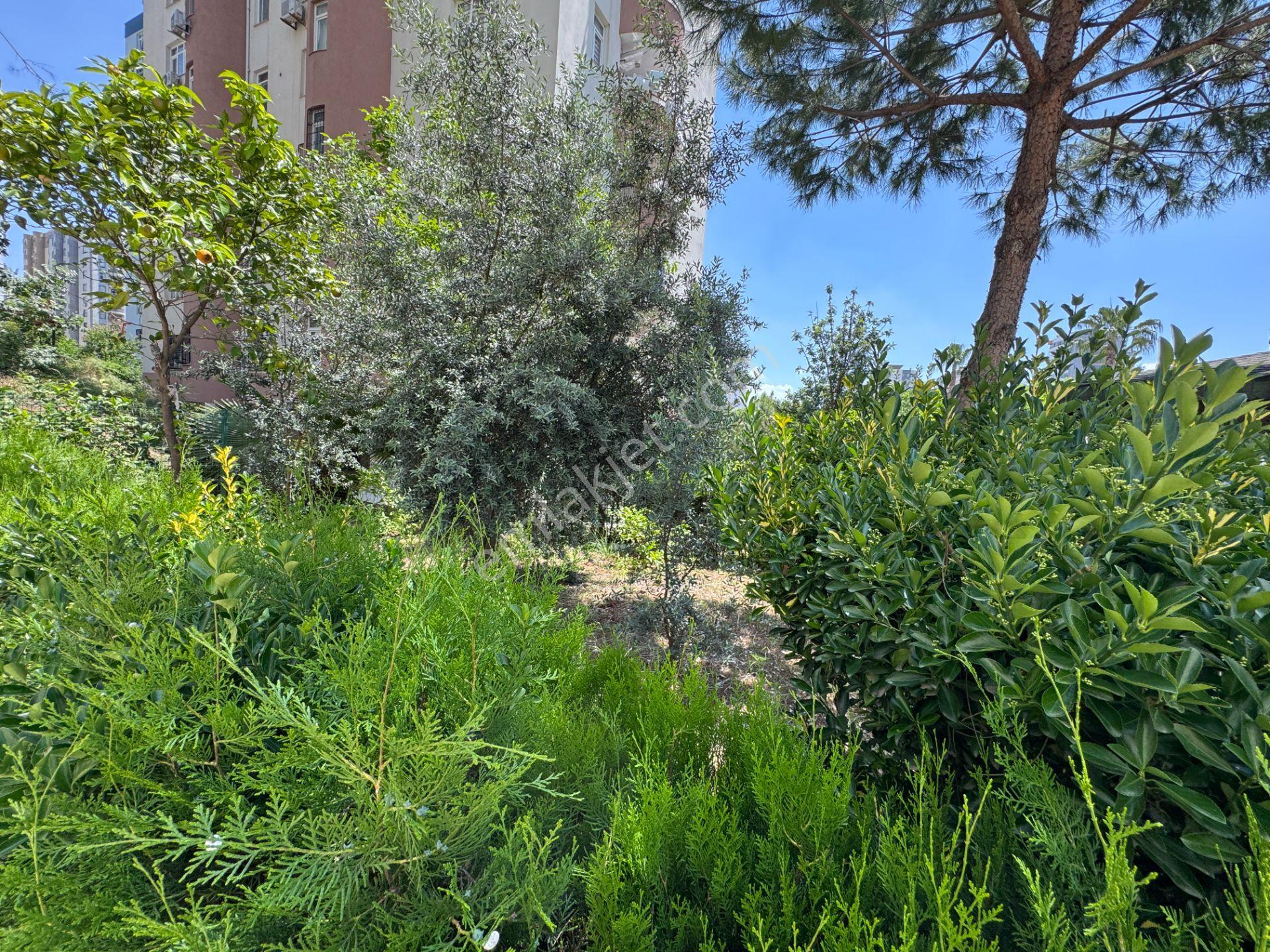 Adanakoop Belediye Evlerinde Doğal Gazlı 3+1 Masrafsız Kiralık Daire - Görsel 28