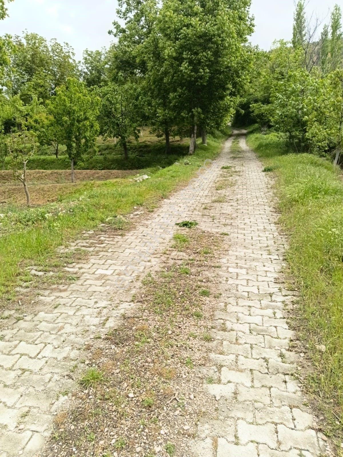 Halkapınar Nernekte 107 Ada 1 Parselde975 M² Bahçe