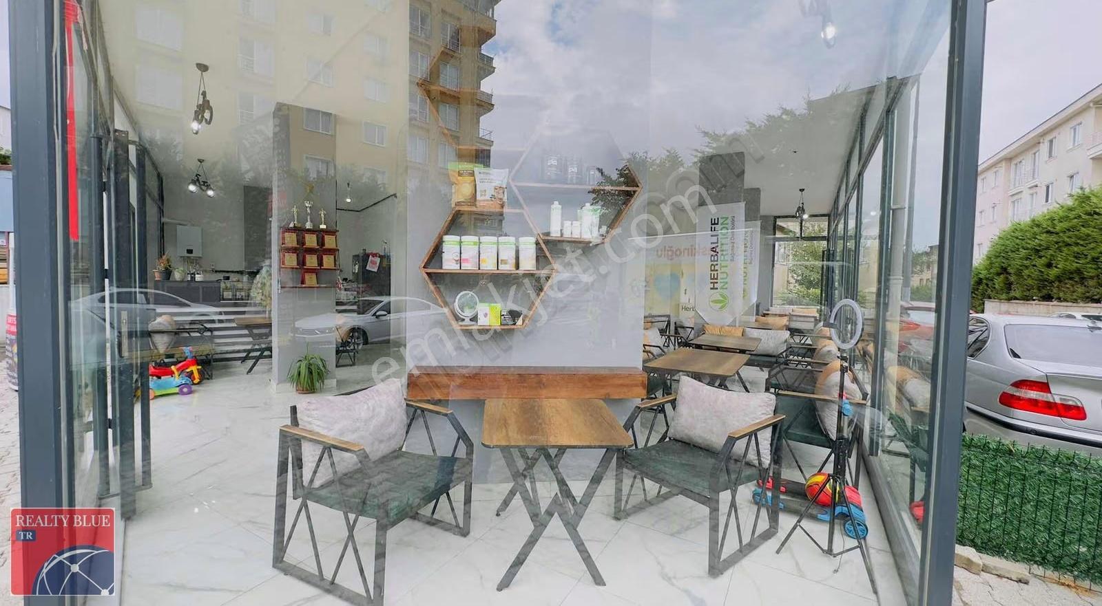 İşlek Cadde Üzeri 315 M2 Bahçe Kullanımlı Depolu - Görsel 10