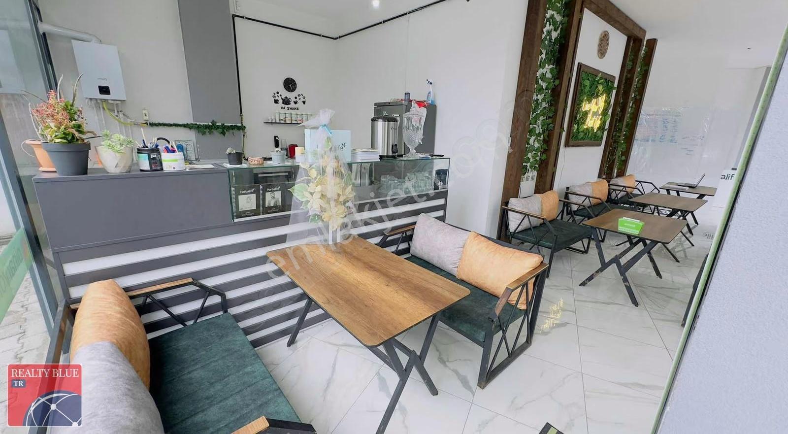 İşlek Cadde Üzeri 315 M2 Bahçe Kullanımlı Depolu - Görsel 19