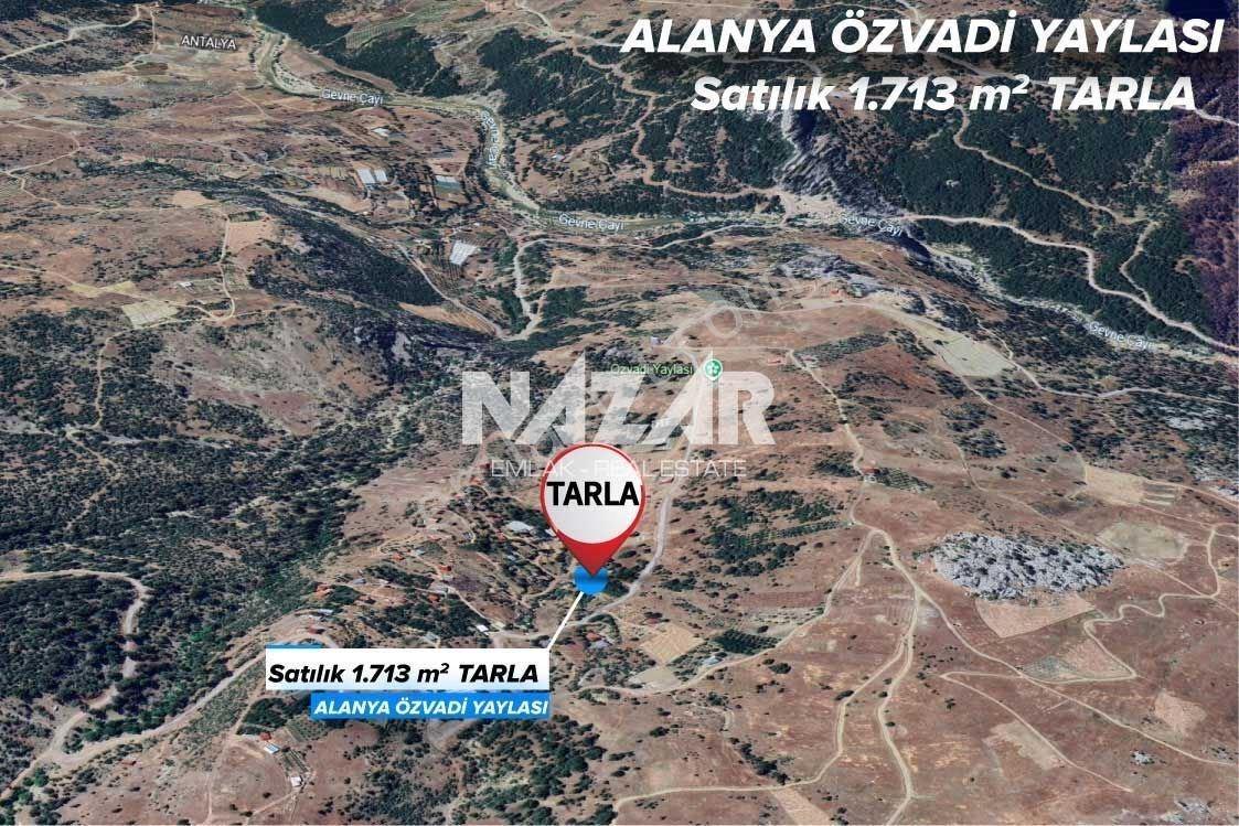 Alanya Özvadi Yaylası’nda 1.713 M² Satılık Tarla Ve