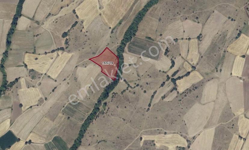 Remax Mid Balya Hacıhüseyin Köyde 6800 M² Satılık Tarla - Görsel 14