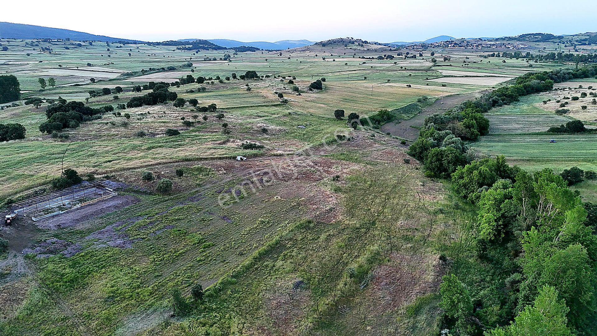 Remax Mid Balya Hacıhüseyin Köyde 6800 M² Satılık Tarla - Görsel 5