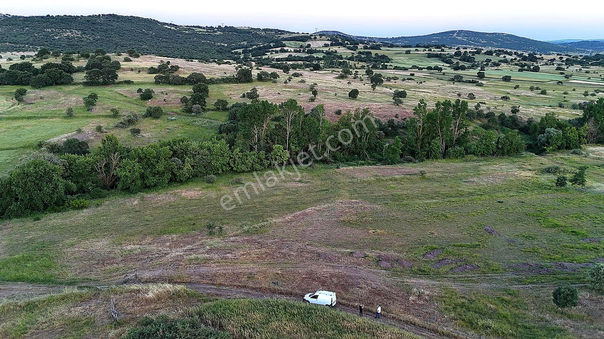 Remax Mid Balya Hacıhüseyin Köyde 6800 M² Satılık Tarla - Görsel 11