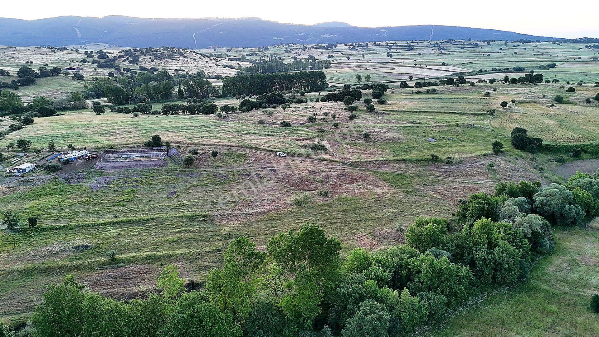 Remax Mid Balya Hacıhüseyin Köyde 6800 M² Satılık Tarla - Görsel 7