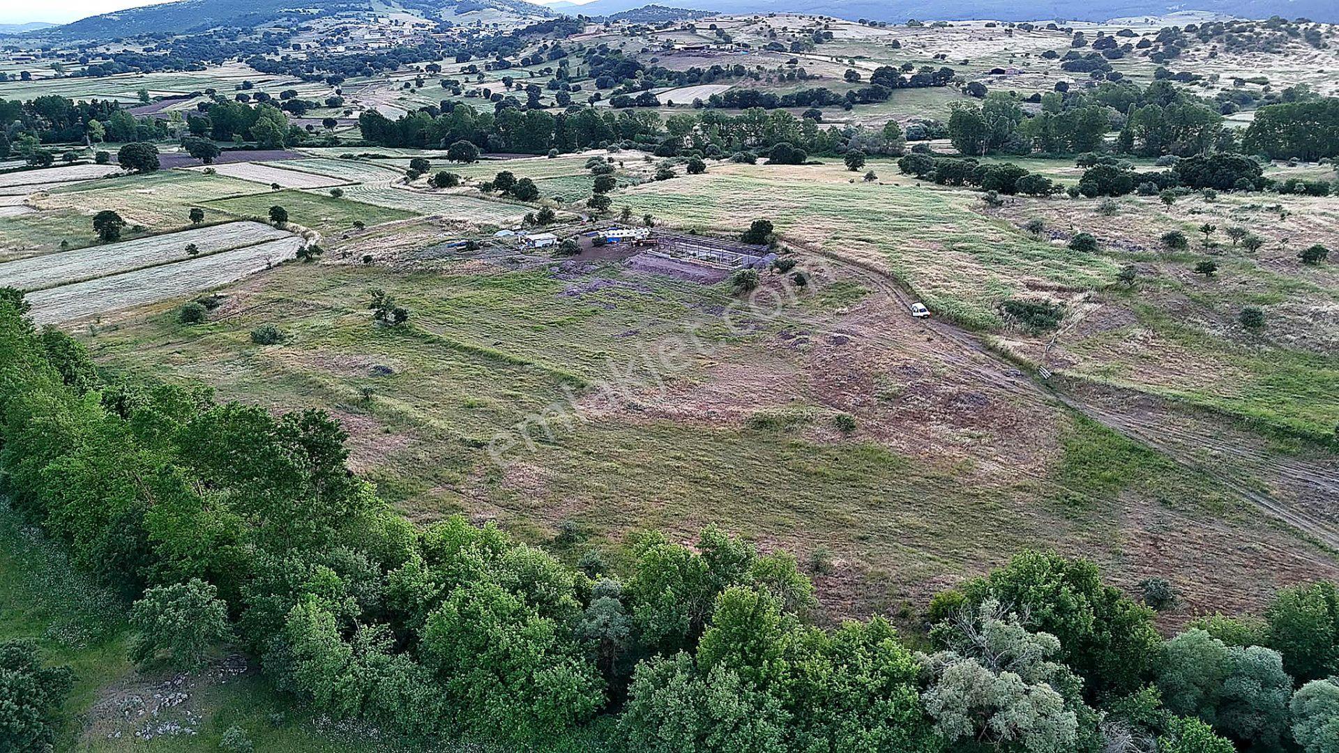 Remax Mid Balya Hacıhüseyin Köyde 6800 M² Satılık Tarla - Görsel 9