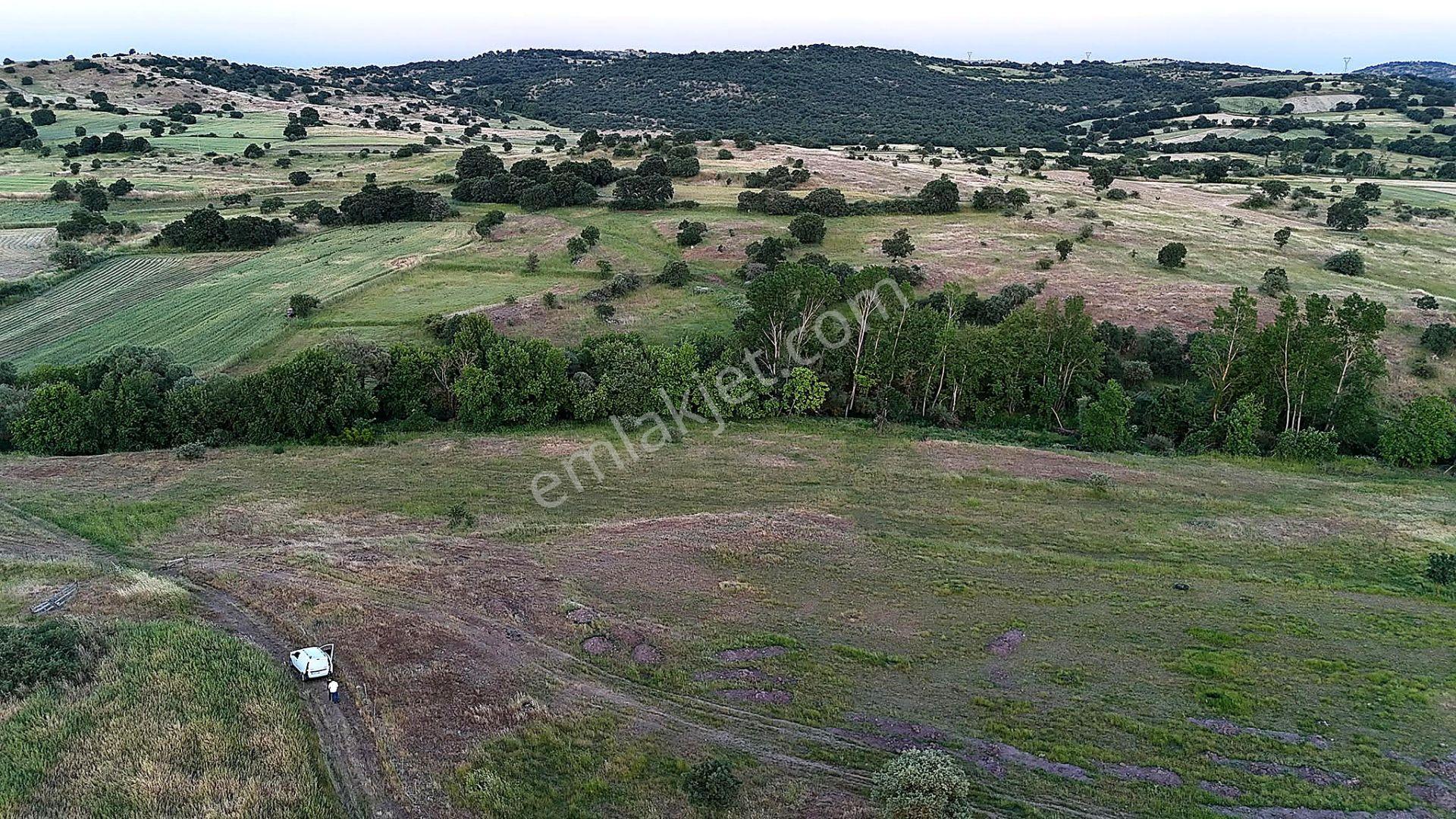 Remax Mid Balya Hacıhüseyin Köyde 6800 M² Satılık Tarla - Görsel 6