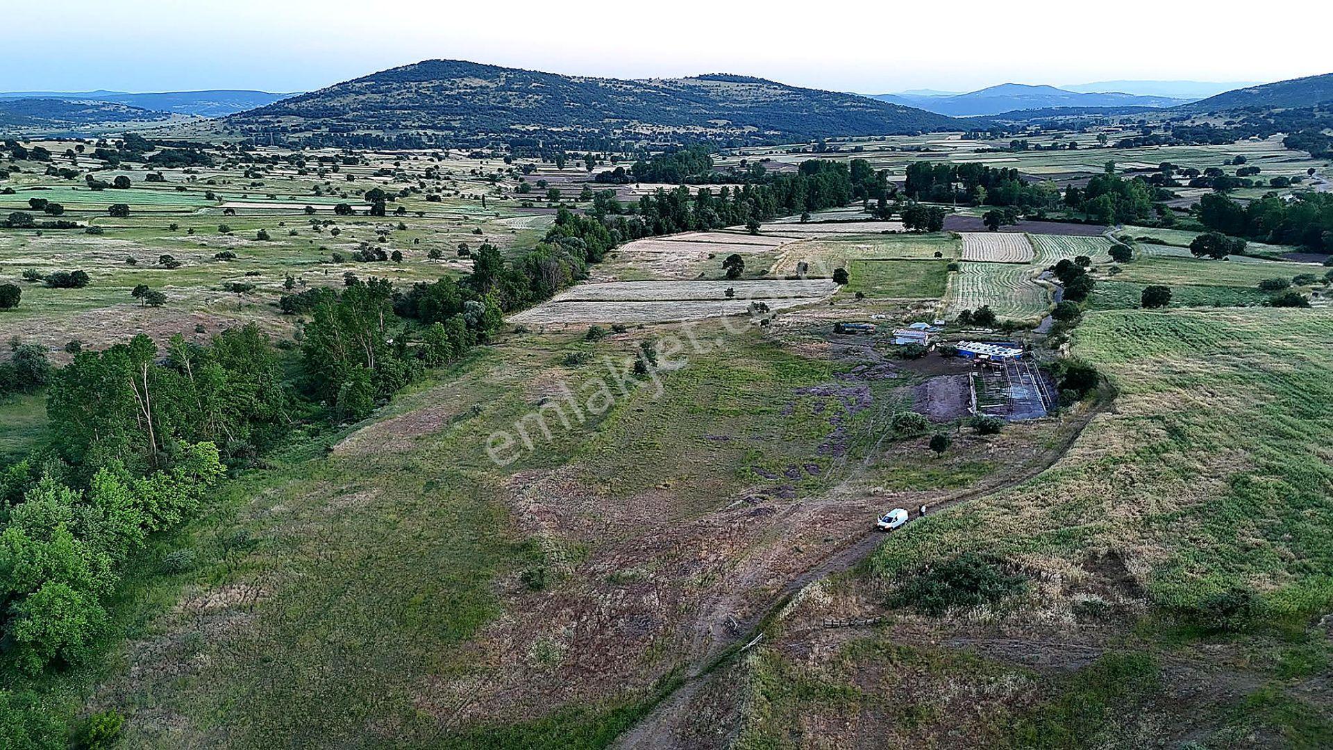 Remax Mid Balya Hacıhüseyin Köyde 6800 M² Satılık Tarla - Görsel 8