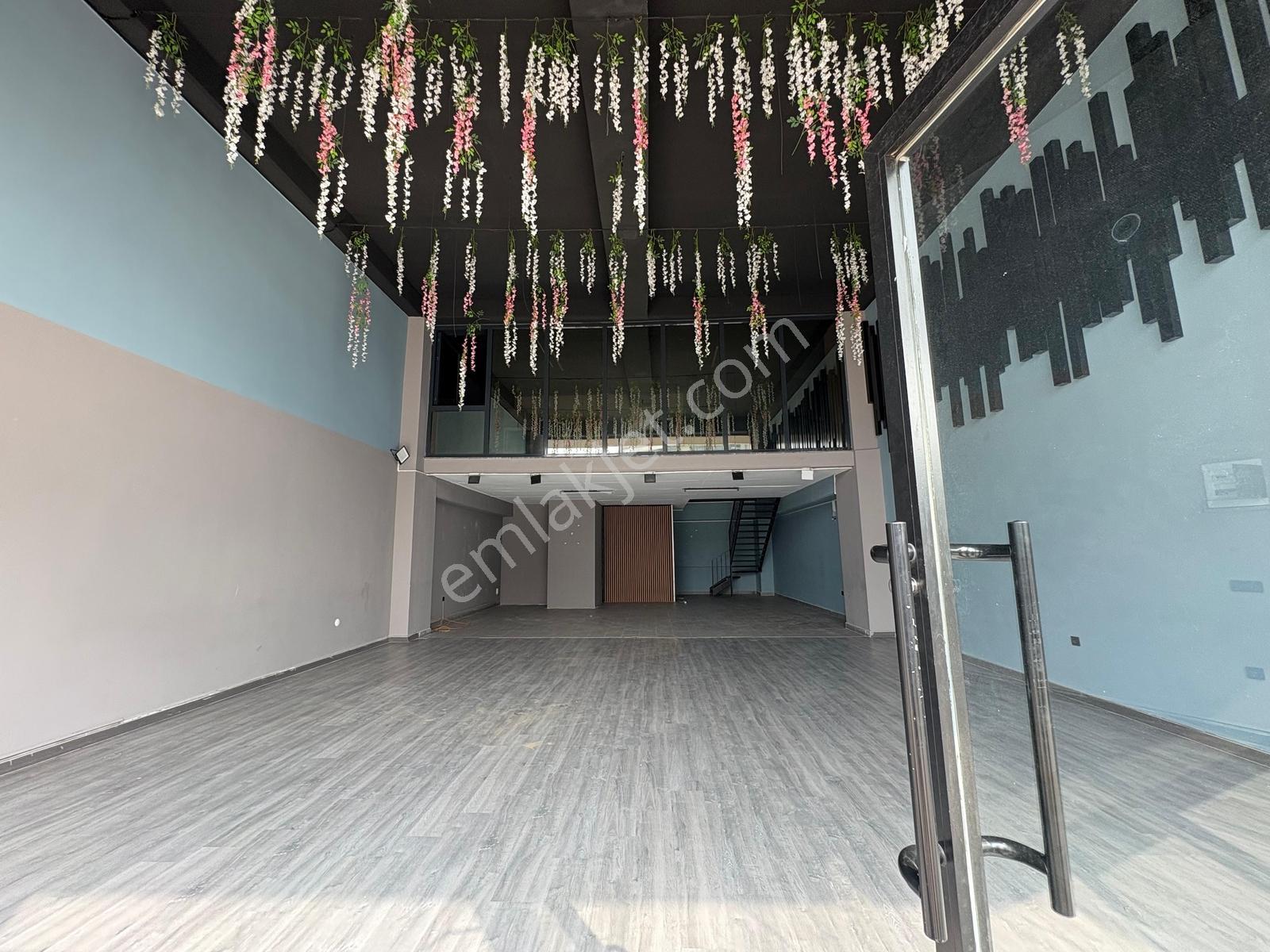 Profasor *dan Alpiş Aden House Da Kiralık Yüksek Tavan Dükkanlar - Görsel 33