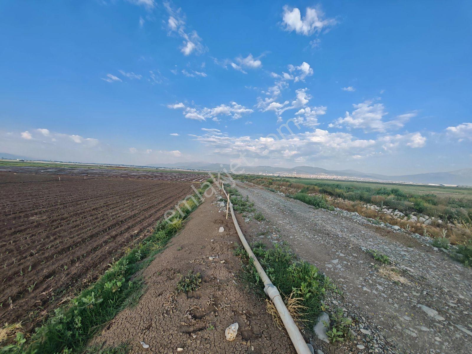 Acıpayam Akalan'da Sulak Çift Yola Cephe 7.355 M2 Tarla - Görsel 4