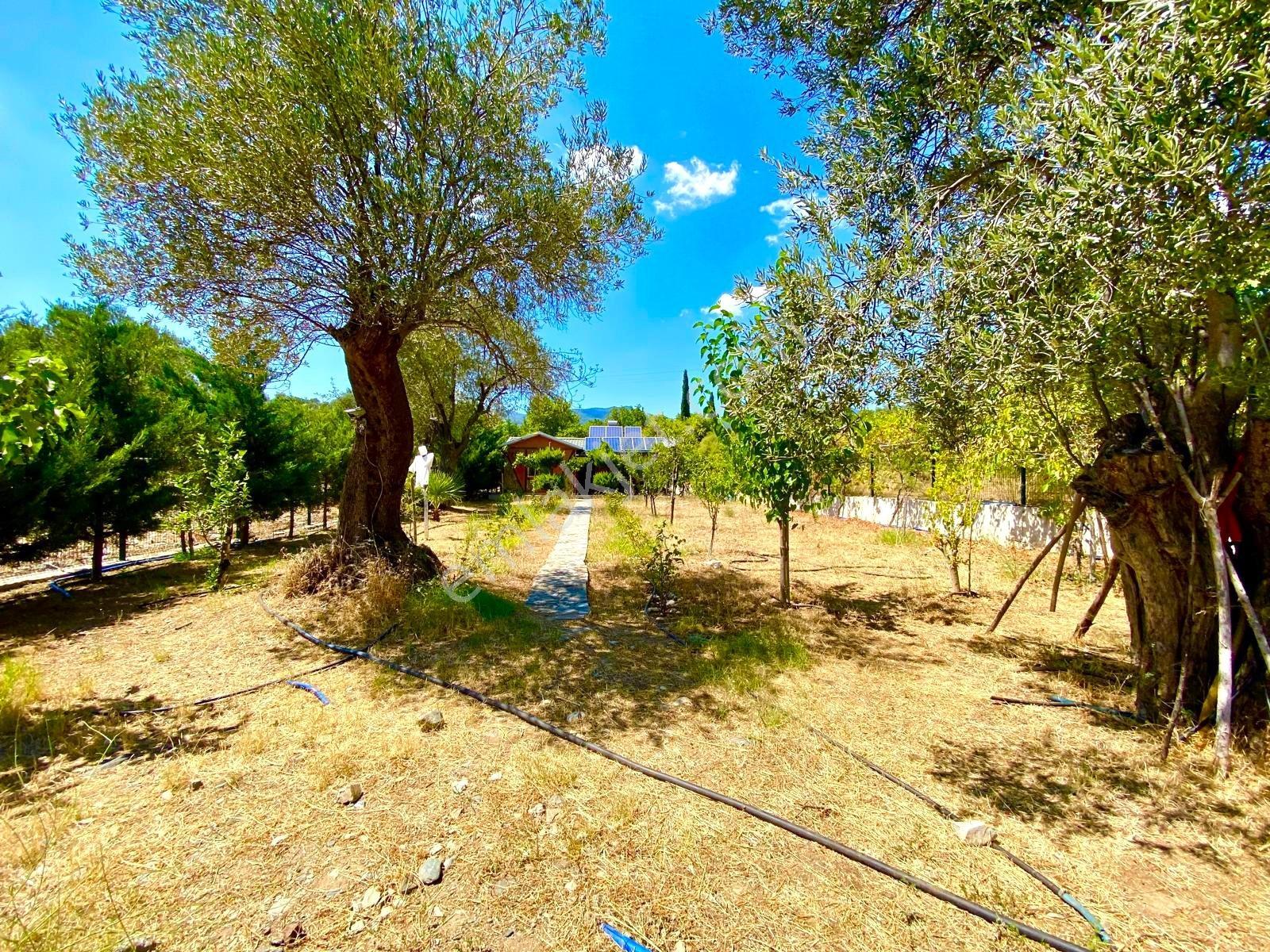 Gümüş'den Güre'de Doğa İçinde 650 M2 Hobi Bahçesi 70m2 Ahşap Ev - Görsel 7