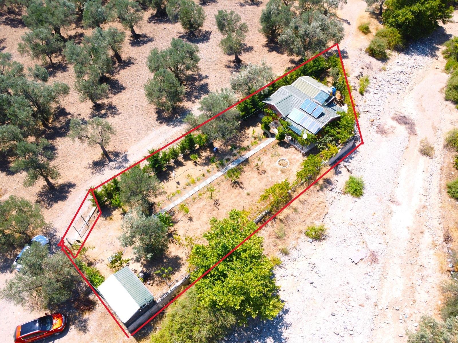 Gümüş'den Güre'de Doğa İçinde 650 M2 Hobi Bahçesi 70m2 Ahşap Ev - Görsel 20
