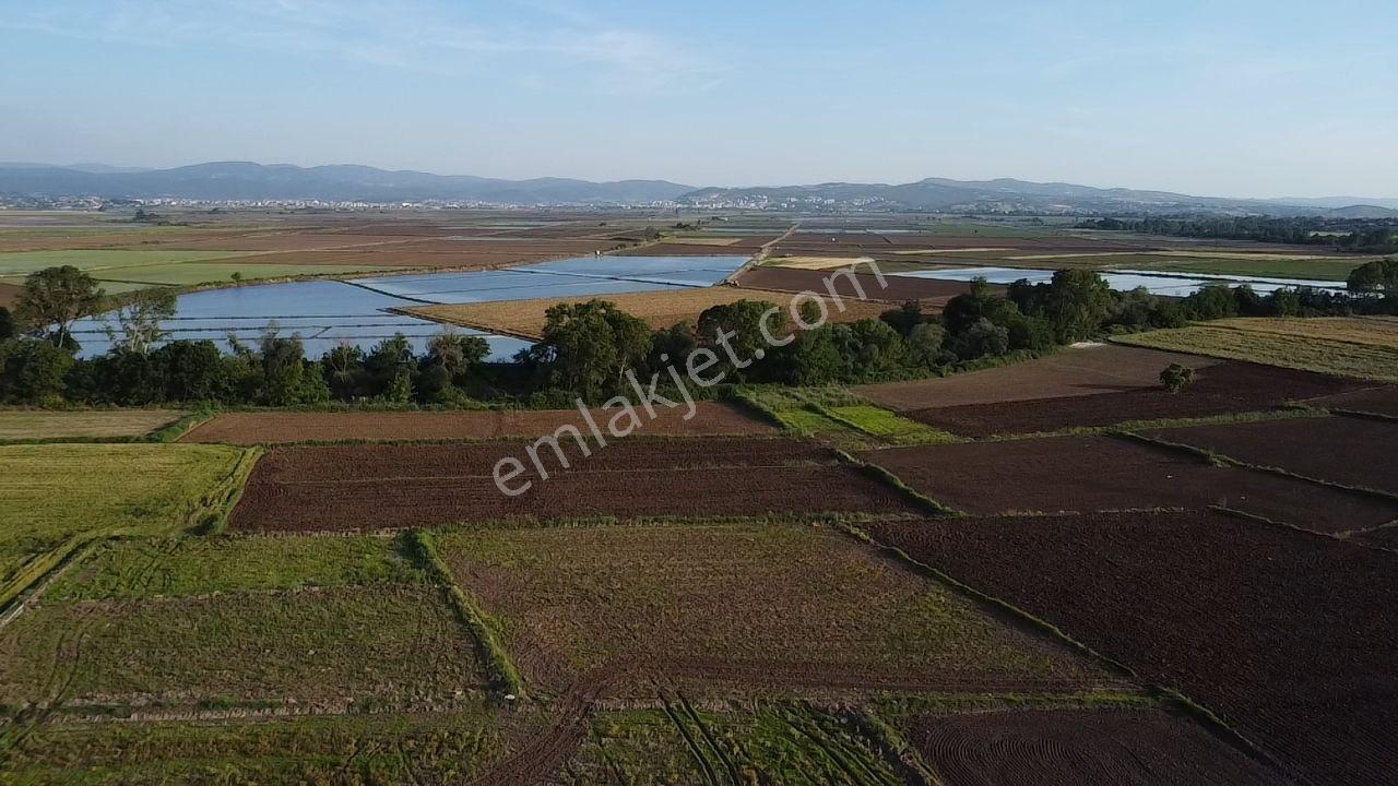 Biga Güleç Köyde 2553 M2 Kadastrol Yola Cepheli Satılık Tarla - Görsel 13