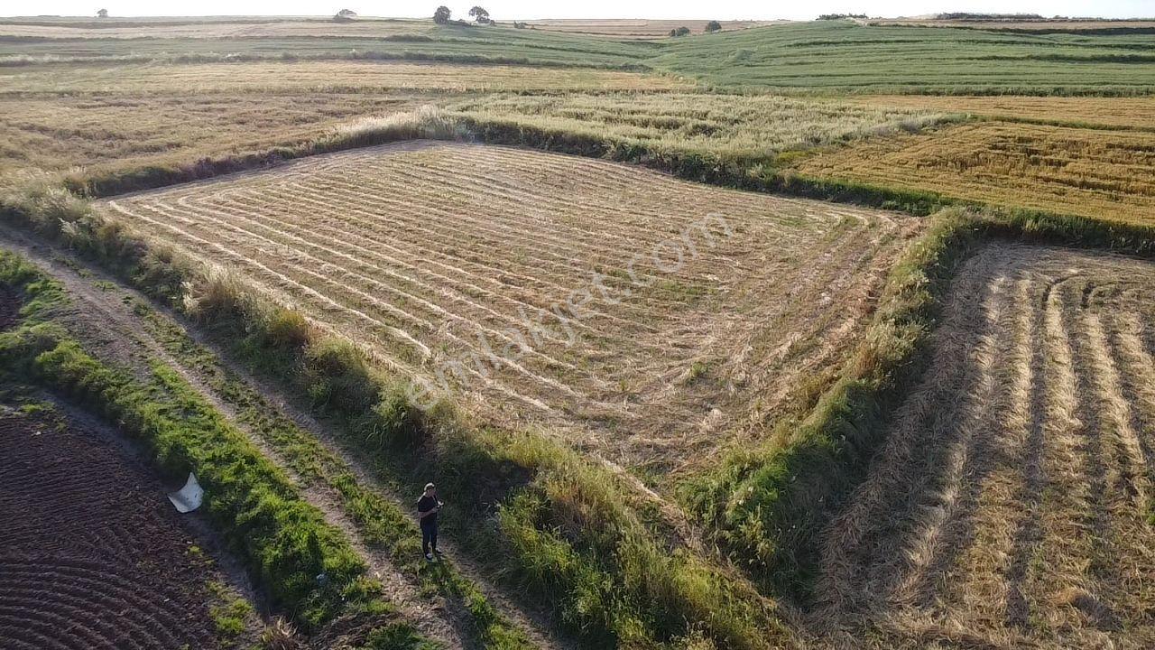 Biga Güleç Köyde 2553 M2 Kadastrol Yola Cepheli Satılık Tarla - Görsel 31