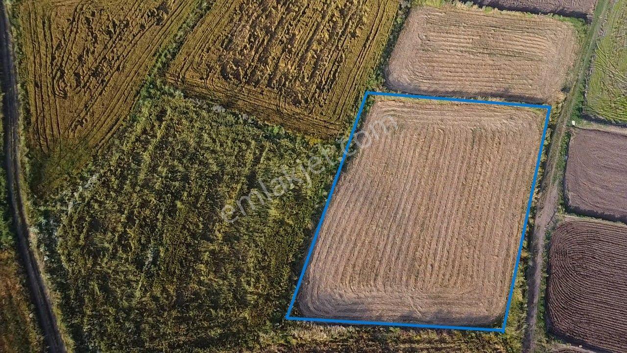 Biga Güleç Köyde 2553 M2 Kadastrol Yola Cepheli Satılık Tarla - Görsel 4