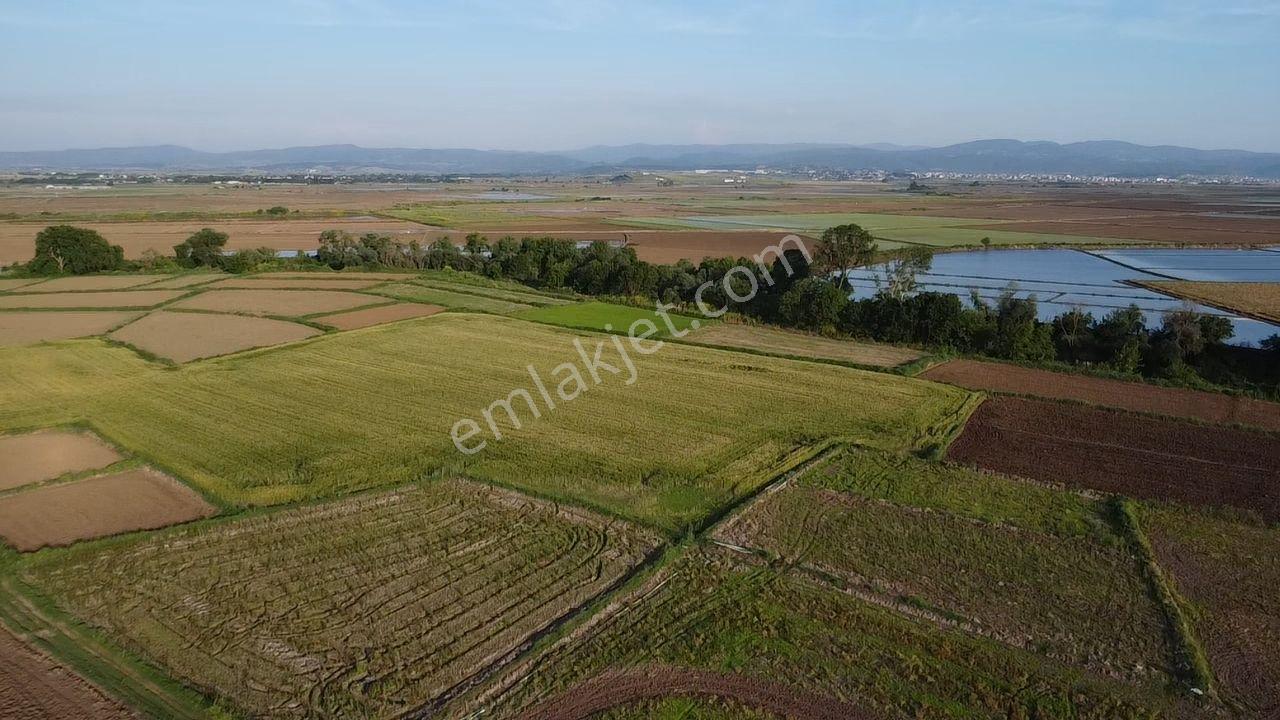 Biga Güleç Köyde 2553 M2 Kadastrol Yola Cepheli Satılık Tarla - Görsel 12
