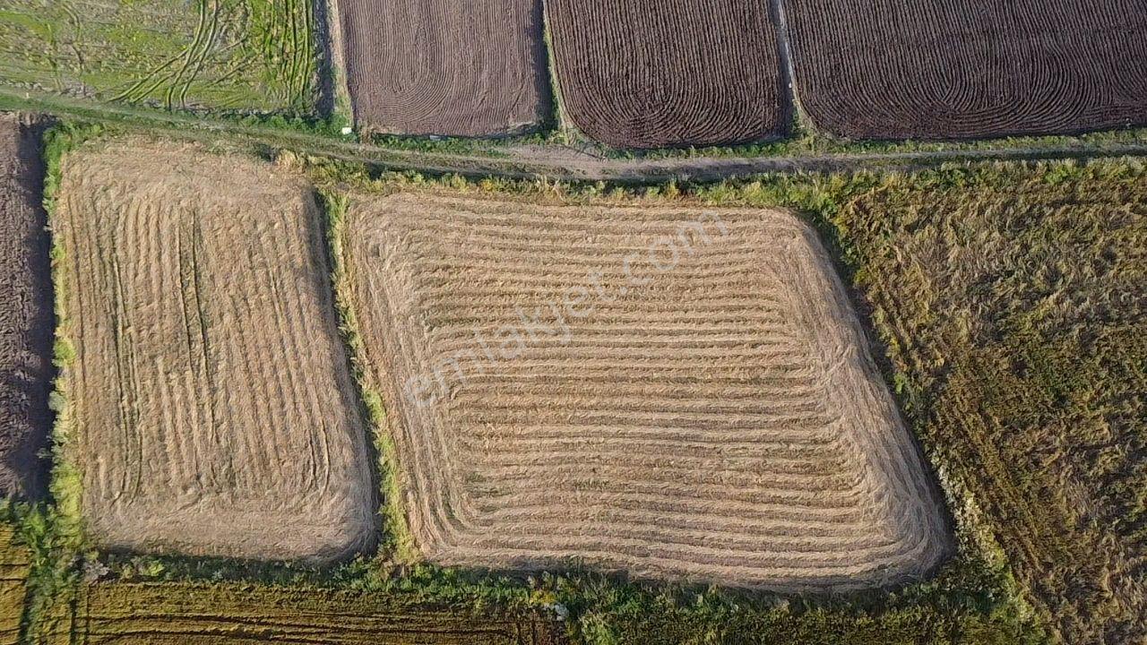 Biga Güleç Köyde 2553 M2 Kadastrol Yola Cepheli Satılık Tarla - Görsel 19