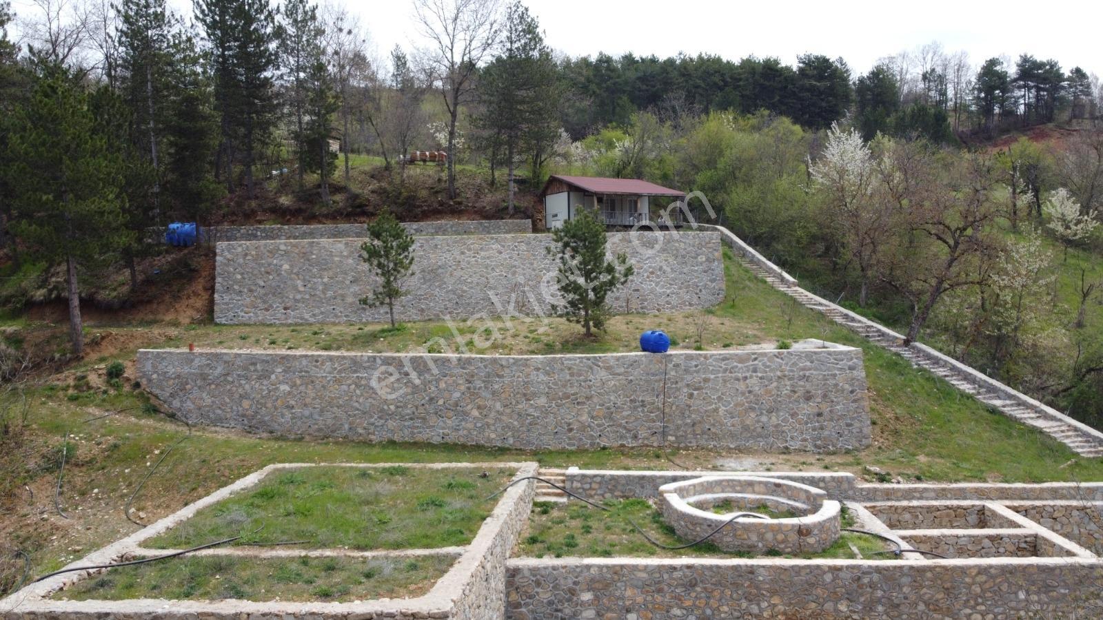 Bursa, Küçükdeliler Köyü Satılık 4.300 M2 Bahçe (tarla) - Görsel 3