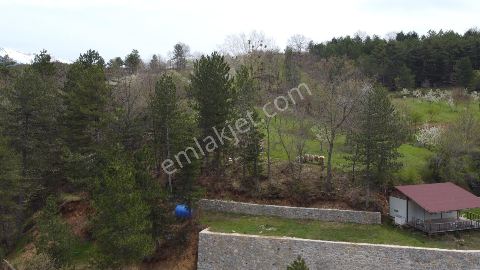 Bursa, Küçükdeliler Köyü Satılık 4.300 M2 Bahçe (tarla) - Görsel 22
