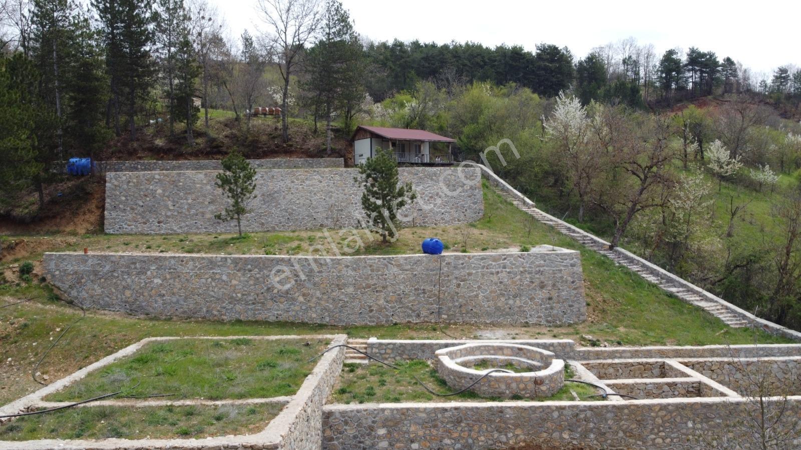 Bursa, Küçükdeliler Köyü Satılık 4.300 M2 Bahçe (tarla) - Görsel 5