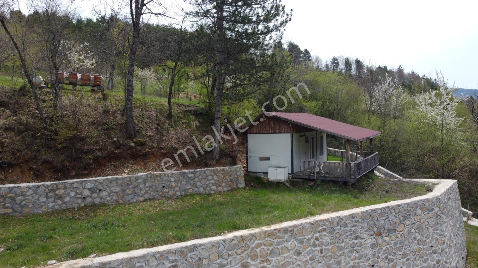Bursa, Küçükdeliler Köyü Satılık 4.300 M2 Bahçe (tarla) - Görsel 7