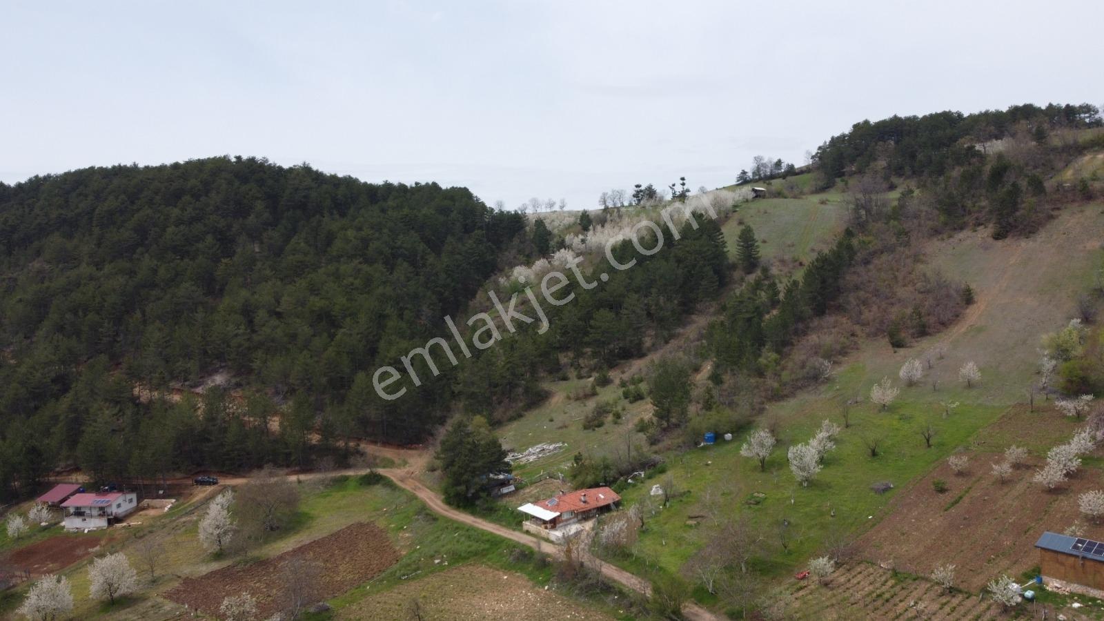 Bursa, Küçükdeliler Köyü Satılık 4.300 M2 Bahçe (tarla) - Görsel 25
